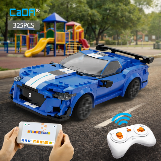 Bauen & Programmieren: CaDA Modellauto