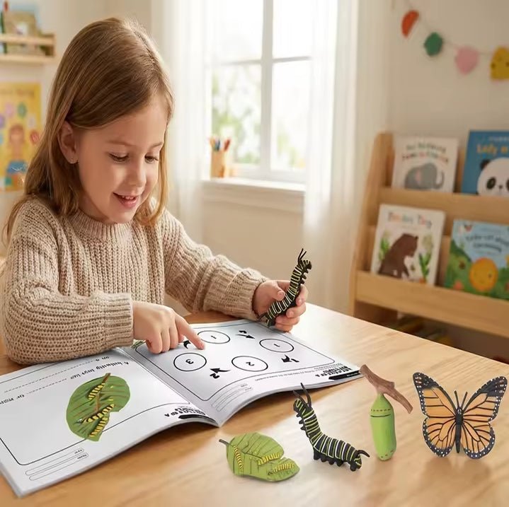Lebenszyklus - Boards für das Kennenlernen von Flora & Fauna - ADHS Store