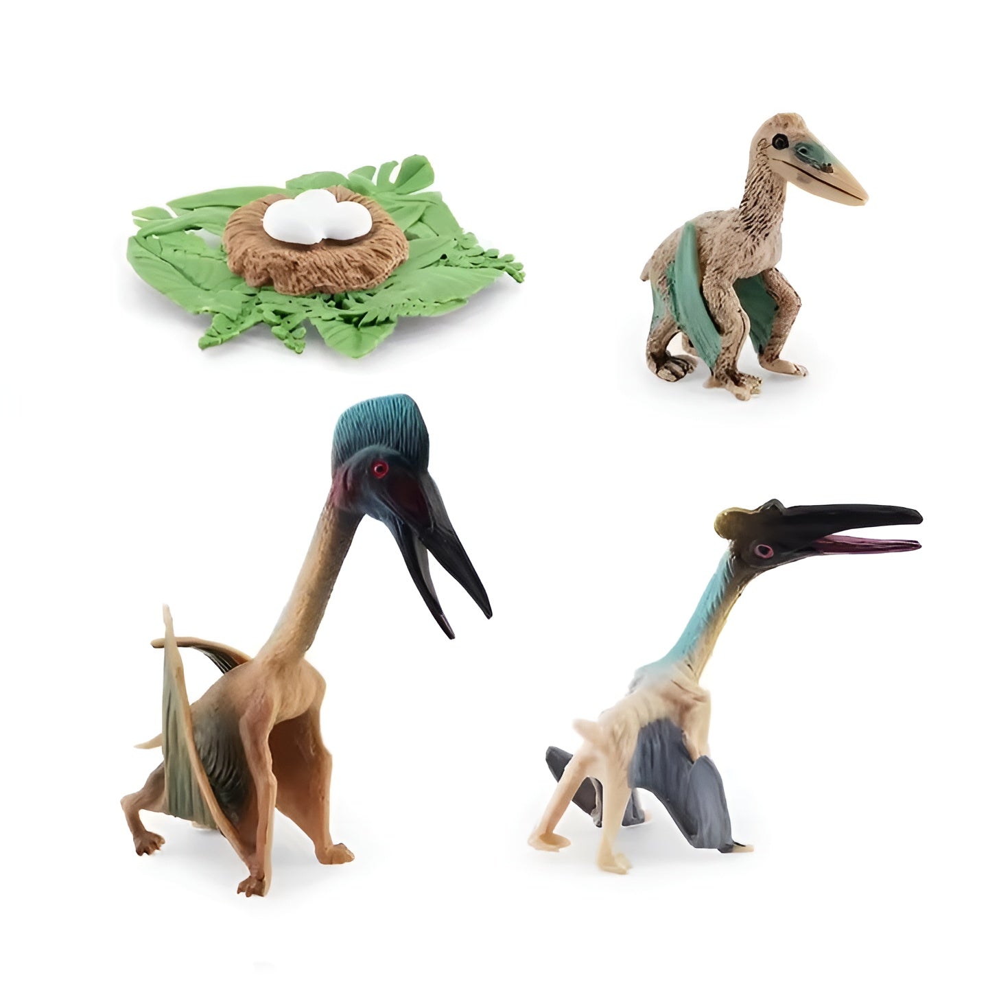 Lebenszyklus - Boards für das Kennenlernen von Flora & Fauna - ADHS Store