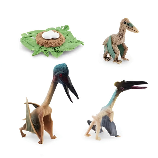 Lebenszyklus - Boards für das Kennenlernen von Flora & Fauna - ADHS Store