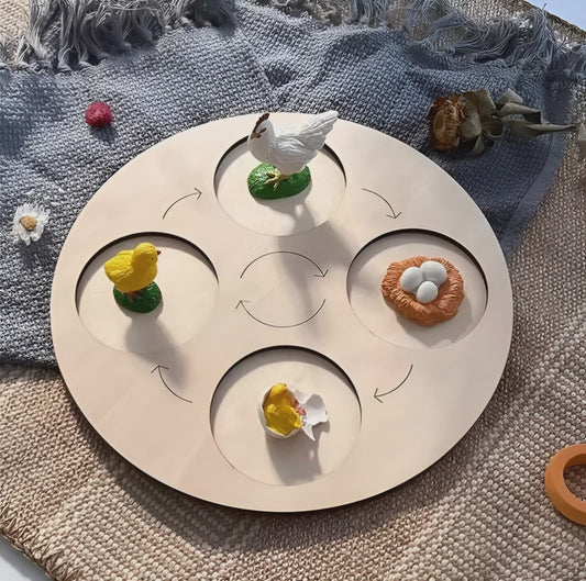 Lebenszyklus-Boards für das Kennenlernen von Flora & Fauna